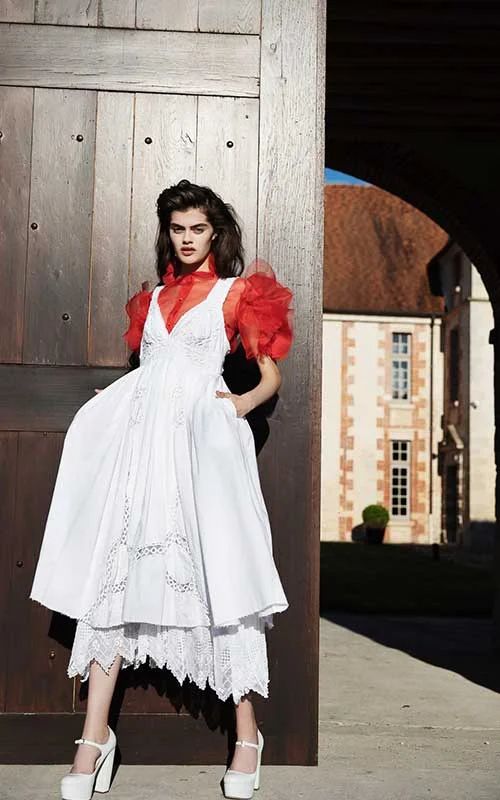 Super Bargain the folklore dress